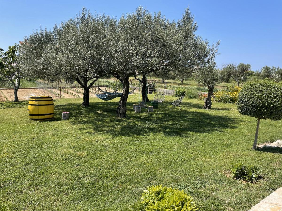 Bed&Breakfast Nada Privlaka  Bagian luar foto